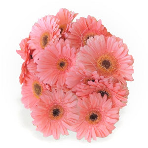 Gerbera Bunch - Pink
